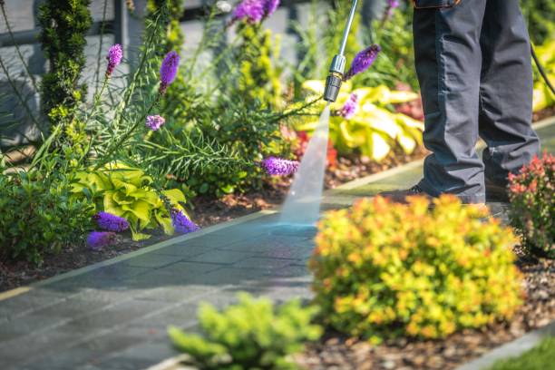 Best Dumpster Area Cleaning  in Putnam Lake, NY